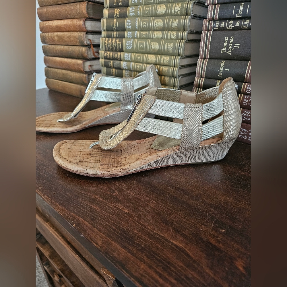Donald J. Pliner Metallic Silver Gladiator Sandals